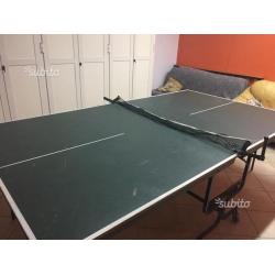 Tavolo da ping pong professionale